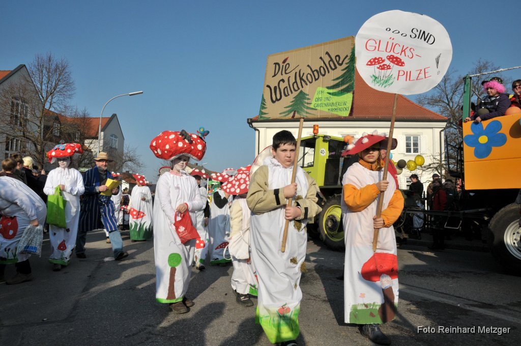 2011-03-08_070 Faschingszug_RM.jpg